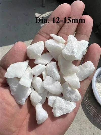 সাদা নুড়ি পাথর
